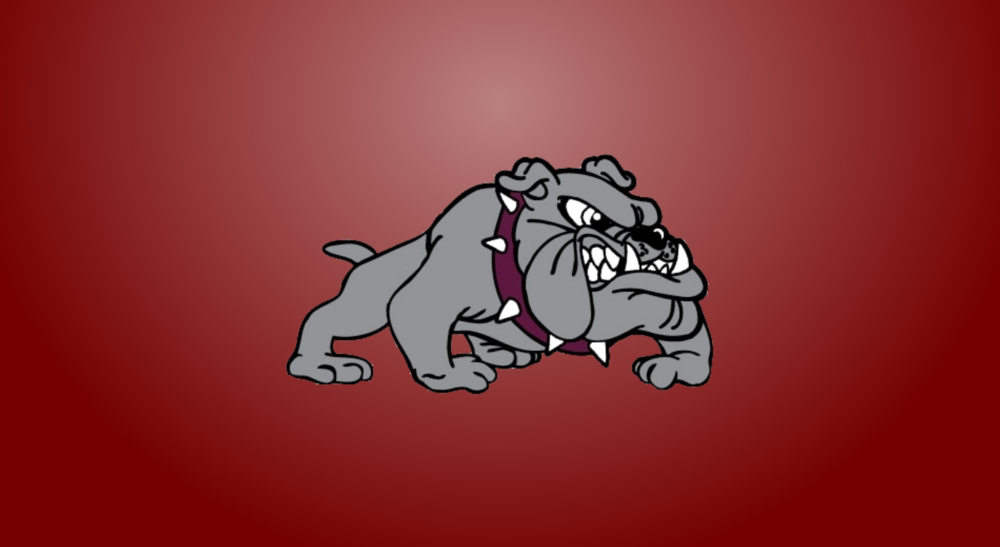 Luray High School Logo