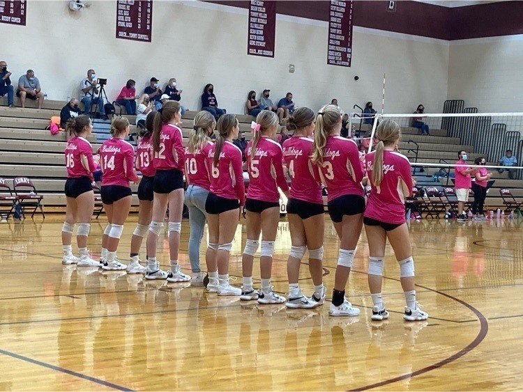 LHS Volleyball Players In Their Volley for the Cure Game 