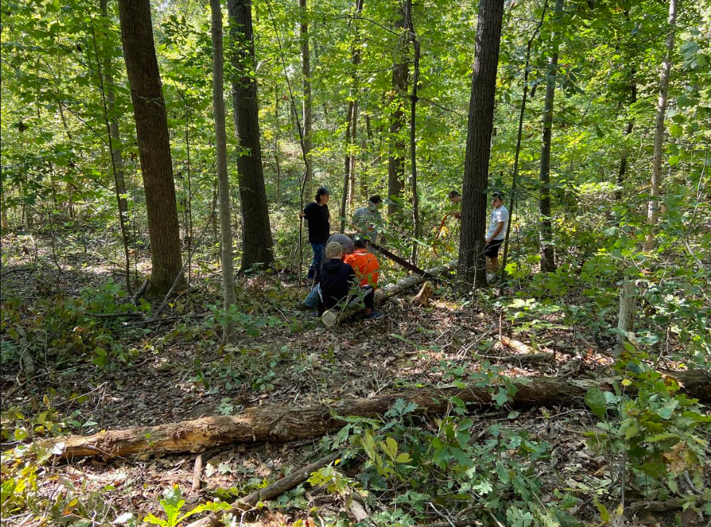 students harvesting logs to grow mushrooms