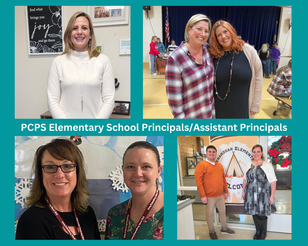 Elementary principals collage